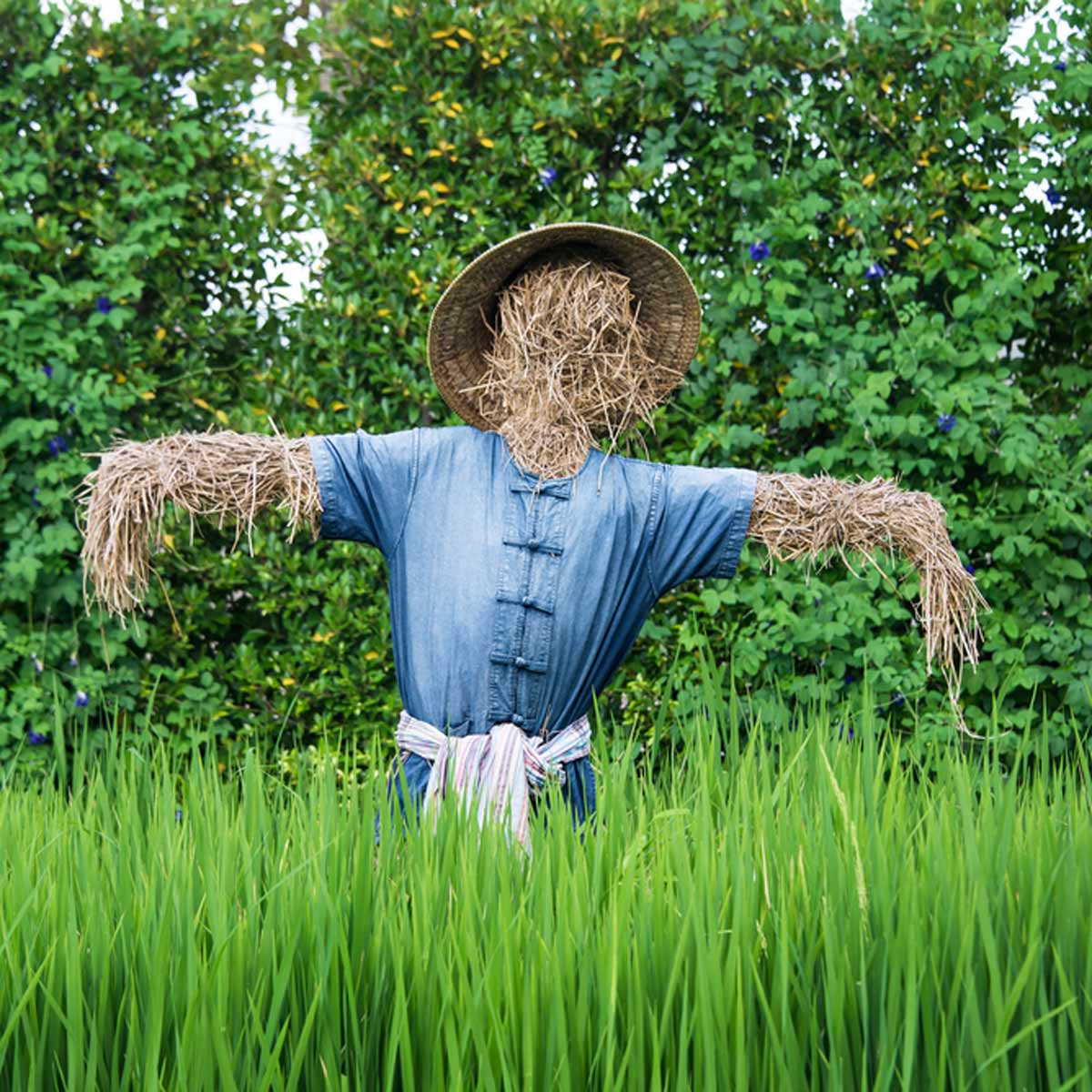 Felixstowe Scarecrow Festival 2020